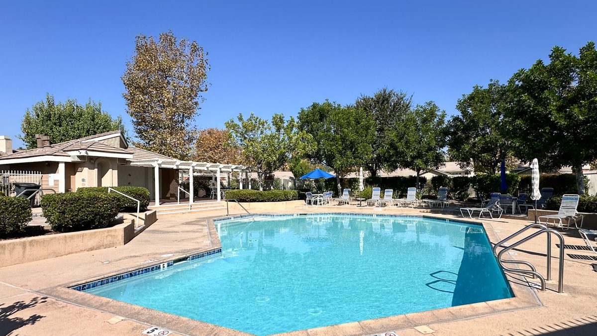 Aerial view of a green equestrian property with mature trees and a pool