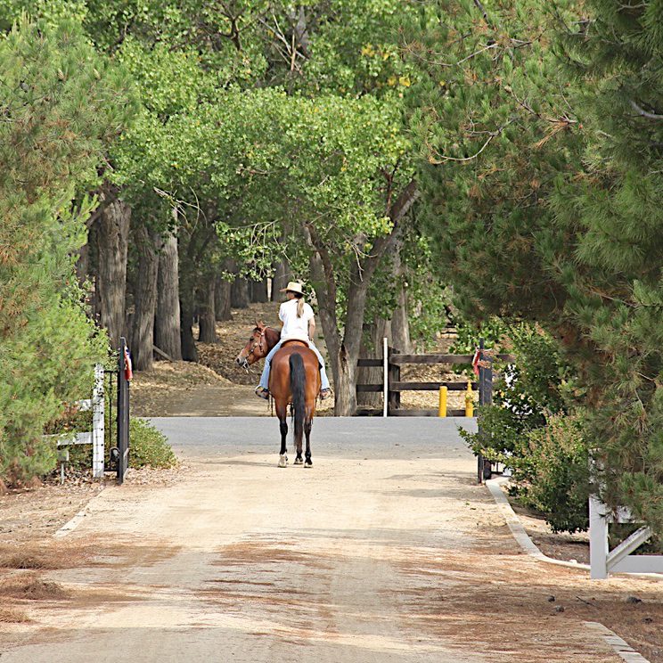 Rider on horseback on a shaded Orange County riding trail