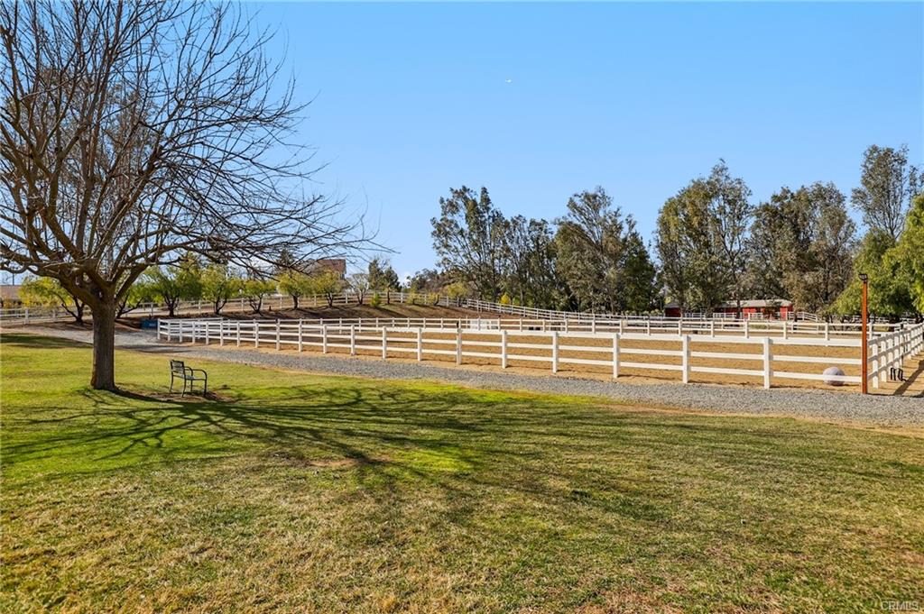 White-fenced pasture and mature tree on a Southern California equestrian property