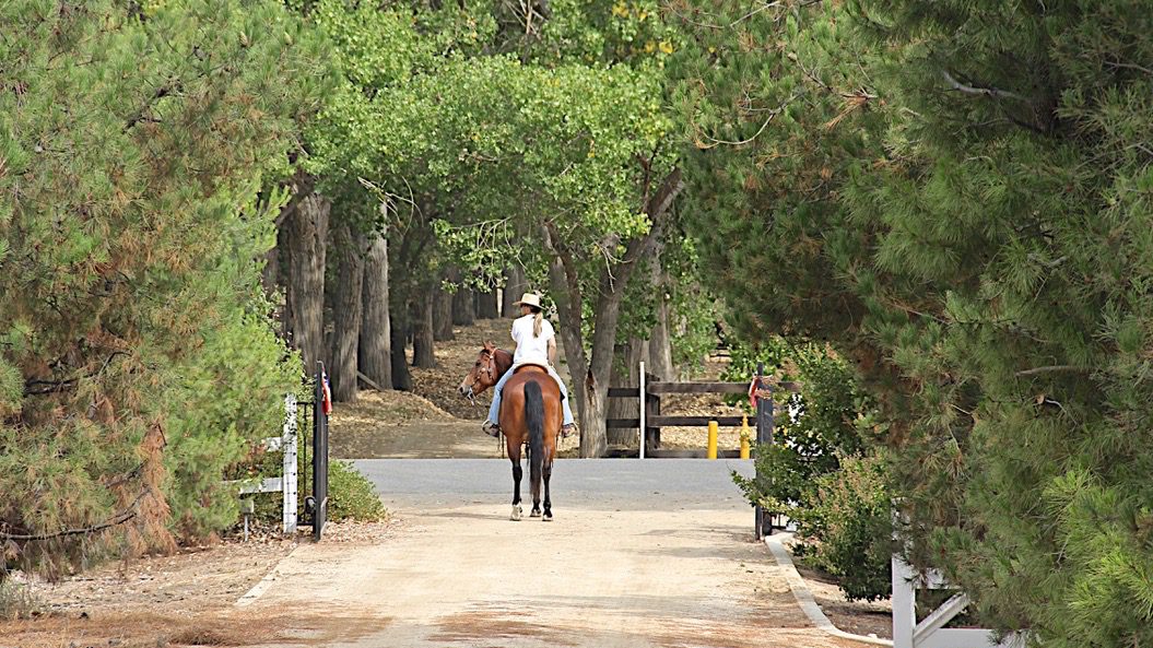 Rider on horseback on a shaded Orange County riding trail