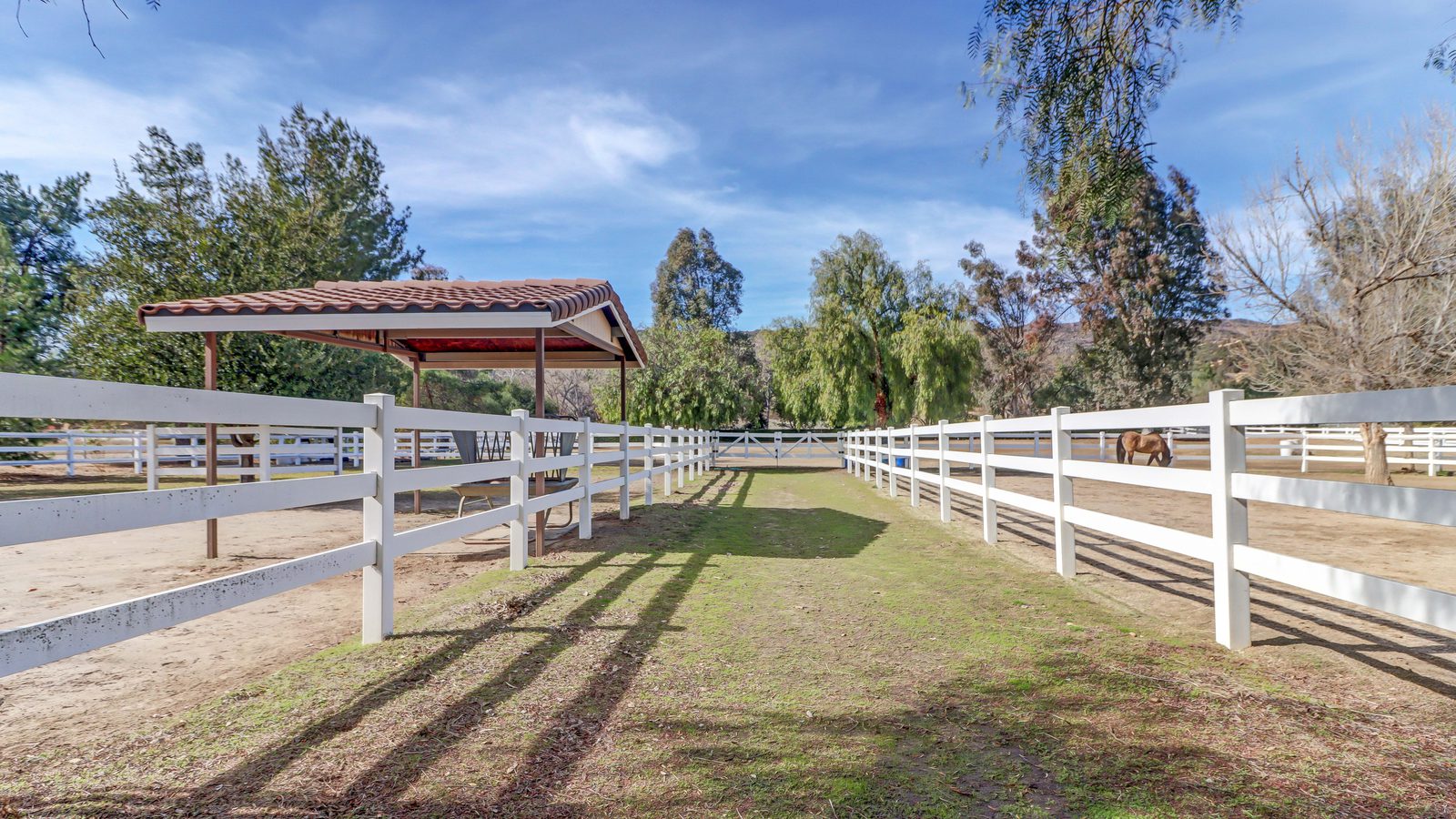 38510 Calle De Lobo